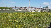 20150521_111841.jpg