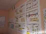 IMG_8634.JPG