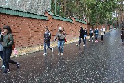 IMG_2142.jpg