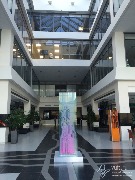 IMG_5824.jpg