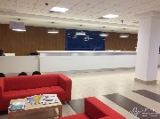 IMG_8167.JPG