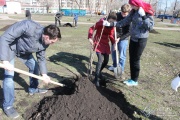 IMG_4985.JPG