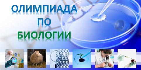 Олимпиада по биологии Олимпиада по биологии