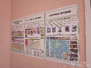 IMG_8629.JPG