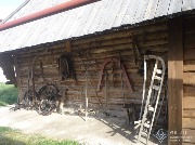 P1030804.JPG
